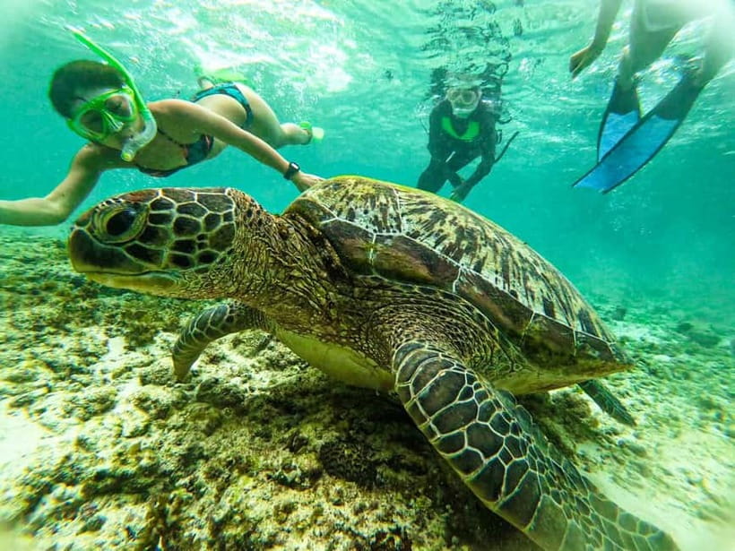 Cebu: Oslob Whale Sharks, Moalboal Sardine Run & Turtles - Showers, towels, and a useful reset between stops