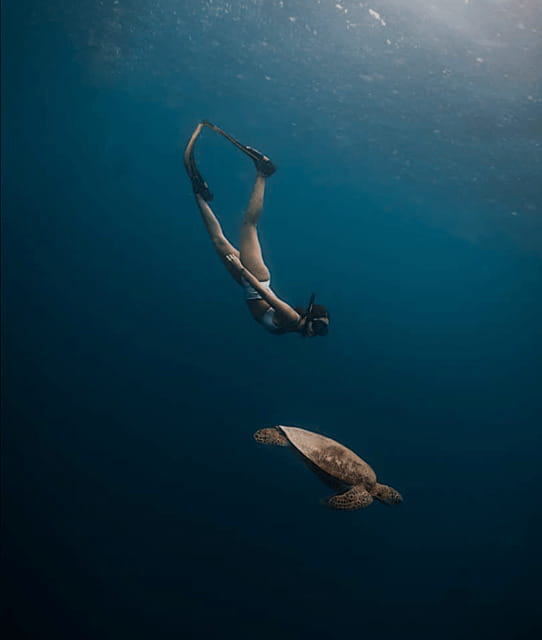 Cebu Oslob Whaleshark, Moalboal Sardines Run&Inambakan Falls - The road time is part of the bargain