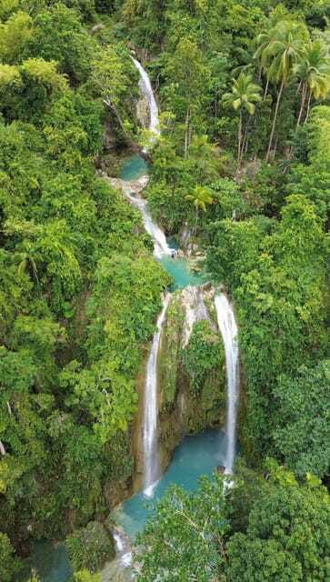 Cebu Oslob Whaleshark, Moalboal Sardines Run&Inambakan Falls - Should you book this tour?