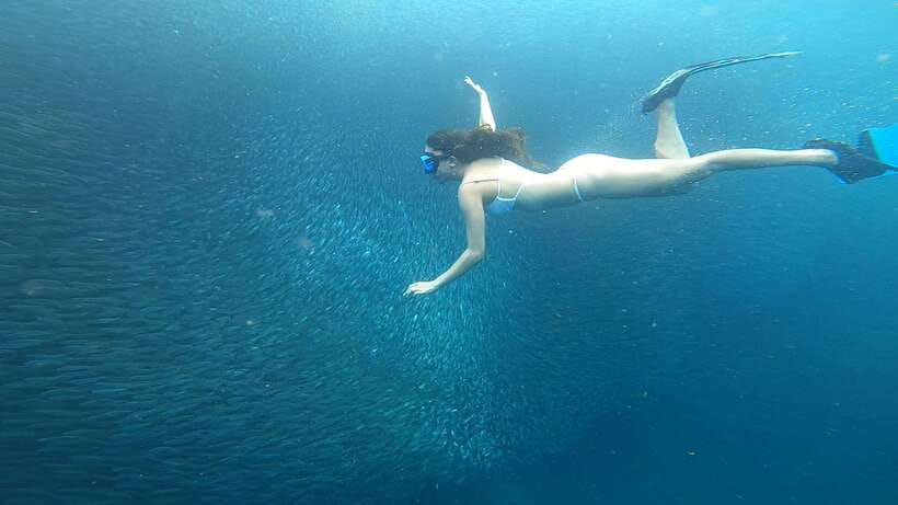 Cebu: Oslob Whaleshark & Sardines Run Snorkeling Day Tour - Who Gets the Best Value From This Tour?