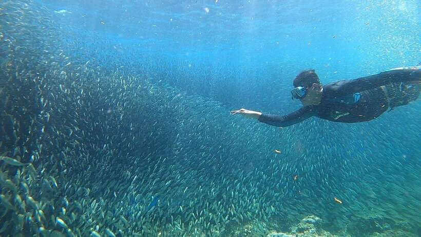 Cebu: Osmeña Peak hike and Sardines Run Snorkel adventure - What to pack for a smoother day