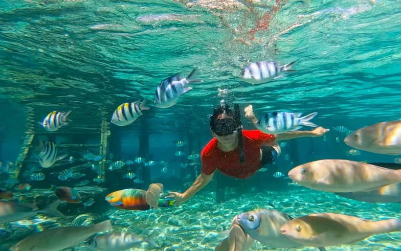 Cebu: Private Mactan Island Hopping Tour with Lunch - Nalusuan’s clear water and long sandbar