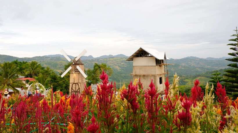 Cebu: Private Panoramic Tour with Dinner - A mountain evening above Cebu City