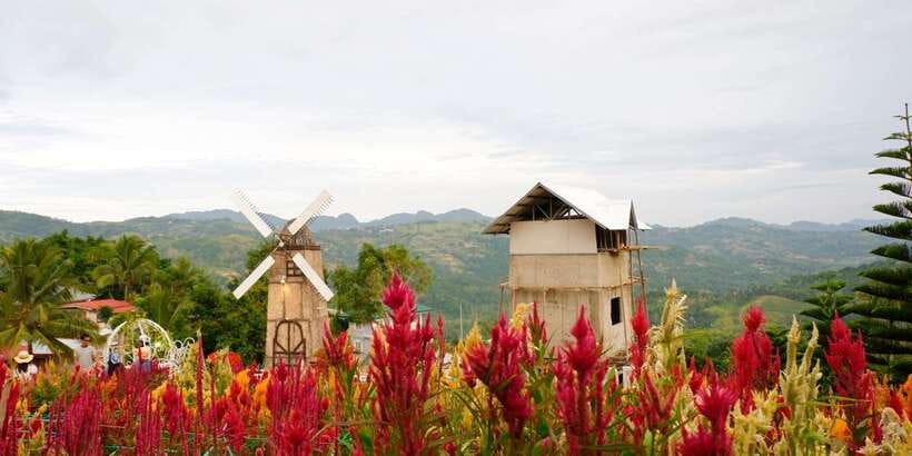 Cebu: Private Panoramic Tour with Dinner - Who will enjoy this tour most