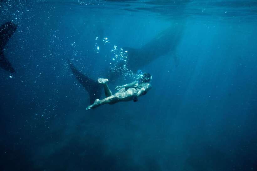 Cebu: Private Sumilon Island & Optional Whale Shark Swim - Choosing the resort access upgrade