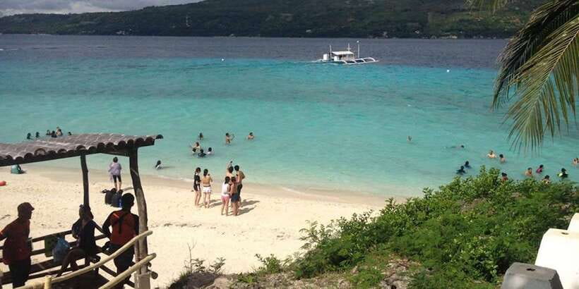 Cebu: Private Sumilon Island & Optional Whale Shark Swim - Who will enjoy this most