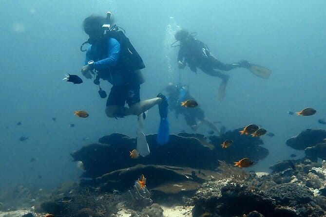 Cebu Private Tour 3 Islands Hopping Gilutungan Caohagan Nalusuan - What the $192.99 price really covers