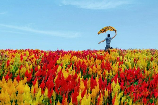 Cebu: Private Twin City Tour +Temple of Leah + Sirao Flower Farm - Sirao Flower Garden, or Little Netherlands