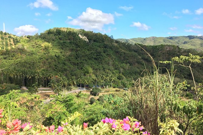 Cebu Safari and Adventure Park - Why the safari day works well from Cebu