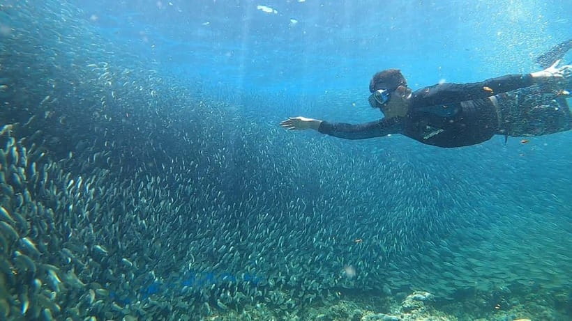 Cebu: Sardine Run Snorkeling, Mantayupan Falls & ATV Thrills - Mantayupan Falls in Barili