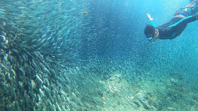 Cebu: Sardine Run Snorkeling, Mantayupan Falls & ATV Thrills - What to bring and what to confirm