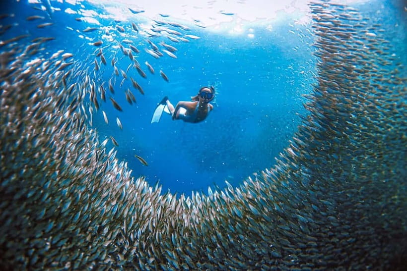 Cebu: Sardine Run Snorkeling, Mantayupan Falls & ATV Thrills - Breakfast after the water