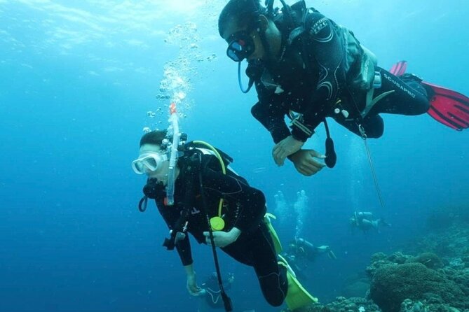 Cebu: Scuba Diving Experience beach entry in Mactan - Learning the basics before entering deeper water
