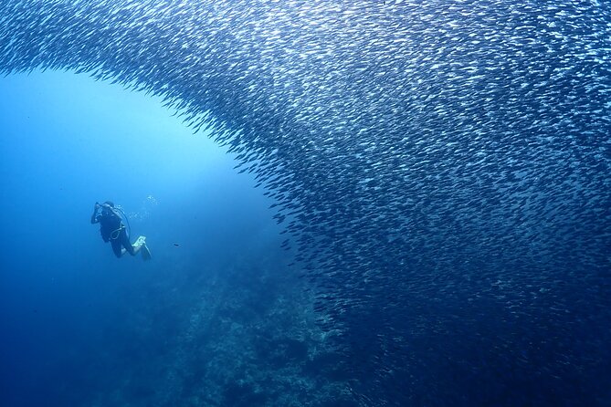 Cebu: Scuba Diving Experience beach entry in Mactan - What the instructors add to the experience