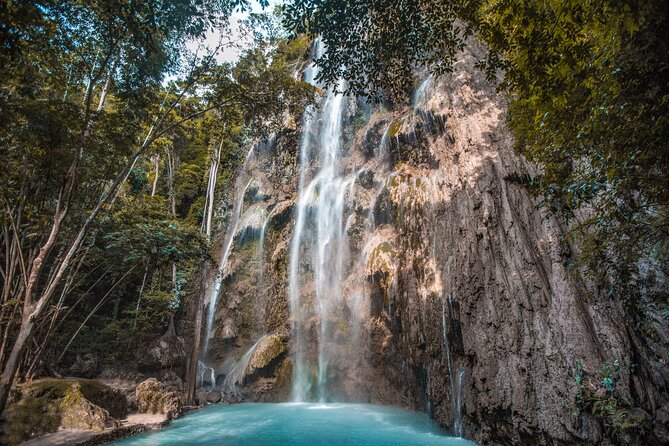 Cebu Whale Shark Encounter, Moalboal Sardines & Tumalog Falls - The 4:00 a.m. pickup and southern Cebu road