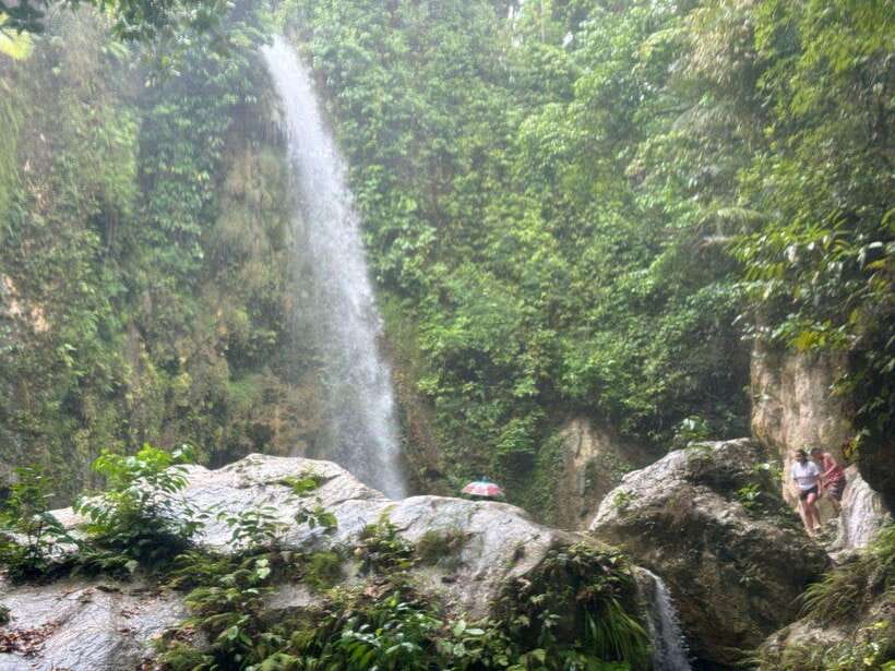 Cebu: Whale Shark, Inambakan Falls & Moalboal Sardine Tour - Key points at a glance