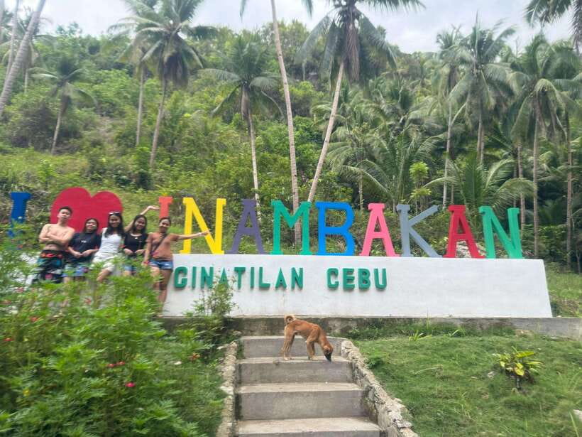 Cebu: Whale Shark, Inambakan Falls & Moalboal Sardine Tour - Three Cebu highlights packed into one long day