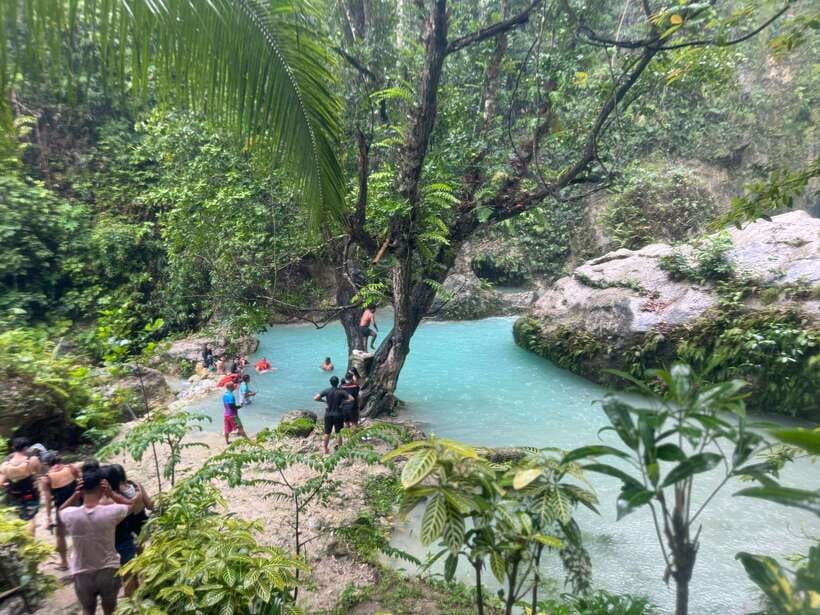 Cebu: Whale Shark, Inambakan Falls & Moalboal Sardine Tour - Oslob whale sharks and the early-morning wait