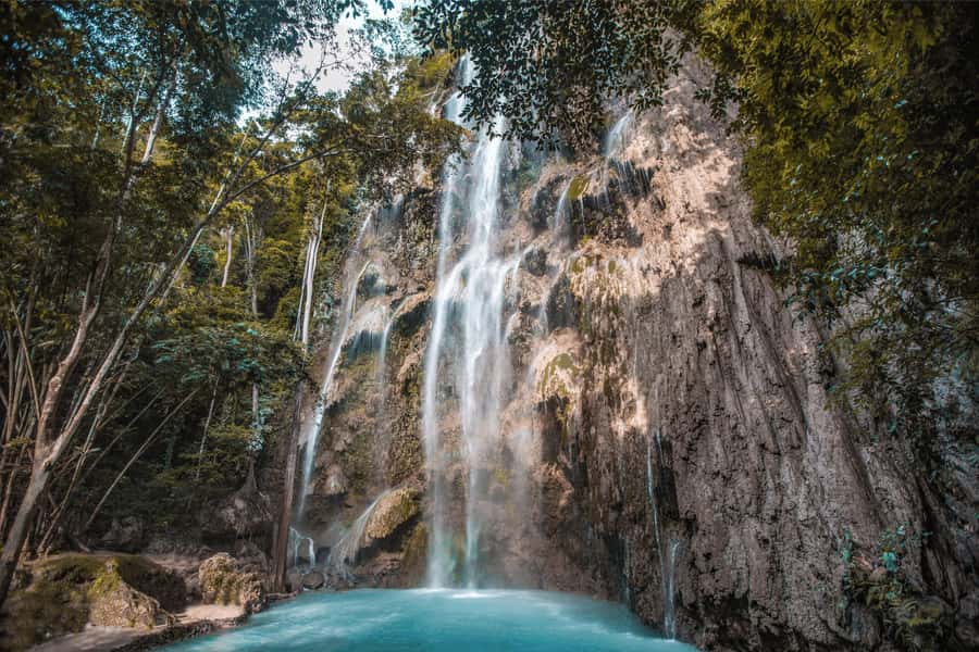 Cebu: Whale Shark, Monkey Sanctuary, & Moalboal Snorkel Tour - Three Cebu wildlife stops in one demanding day