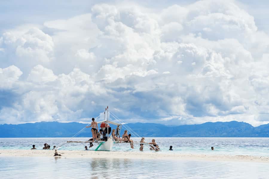 Cebu: Whale Shark, Monkey Sanctuary, & Moalboal Snorkel Tour - Is $117 a fair price?