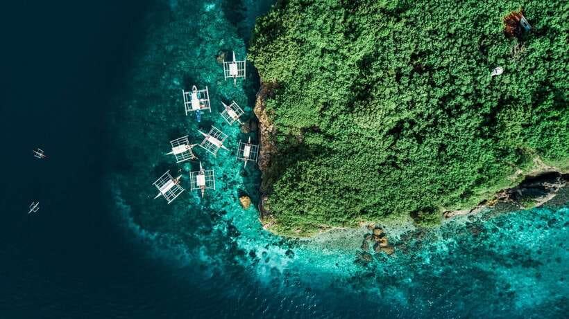 Cebu: Whale Shark, Monkey Sanctuary, & Moalboal Turtles Tour - Should you book the Cebu wildlife combination?