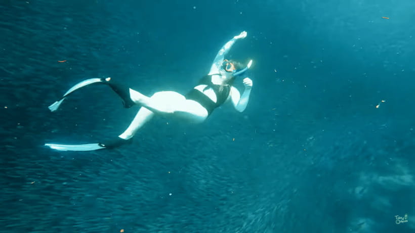 Cebu: Whale Shark Oslob and Moalboal Snorkeling Adventure - Who should book this marine day?
