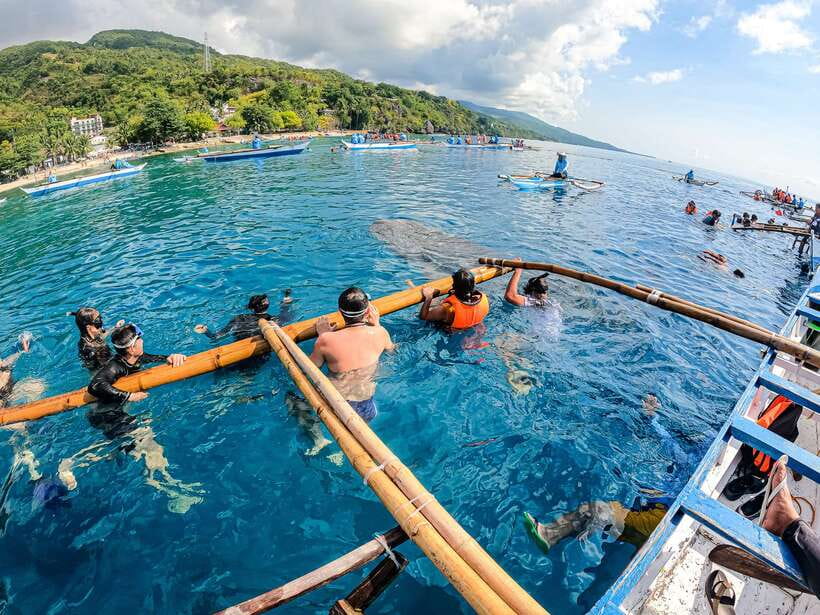 Cebu: Whale Shark Snorkeling & Kawasan Canyoning Tour - The hard parts you should plan for