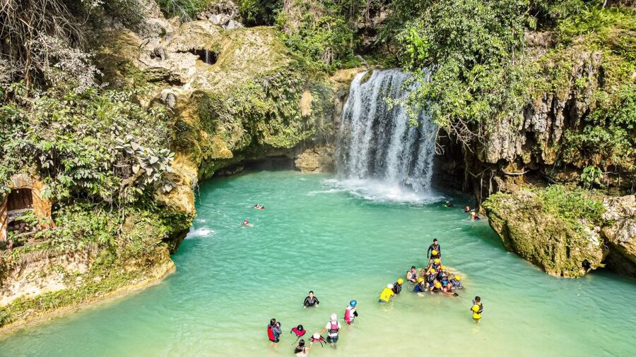 Cebu: Whale Shark Snorkeling & Kawasan Canyoning Tour - What the experience does best