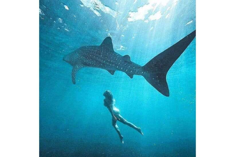 Cebu: Whale Shark Swim and Kawasan Canyoneering Group Tour - Should you book the Oslob and Kawasan combo?