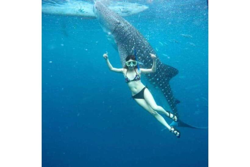 Cebu: Whale Shark Swim and Kawasan Canyoneering Group Tour - Group size, guides, and timing