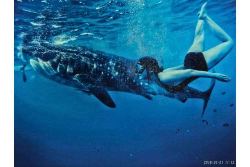 Cebu: Whale Shark Swim and Kawasan Canyoneering Group Tour - Who should book this adventure?