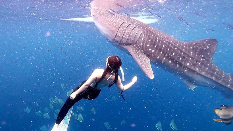 Cebu: Whale Shark Swim and Kawasan Canyoneering Tour - The road to Badian