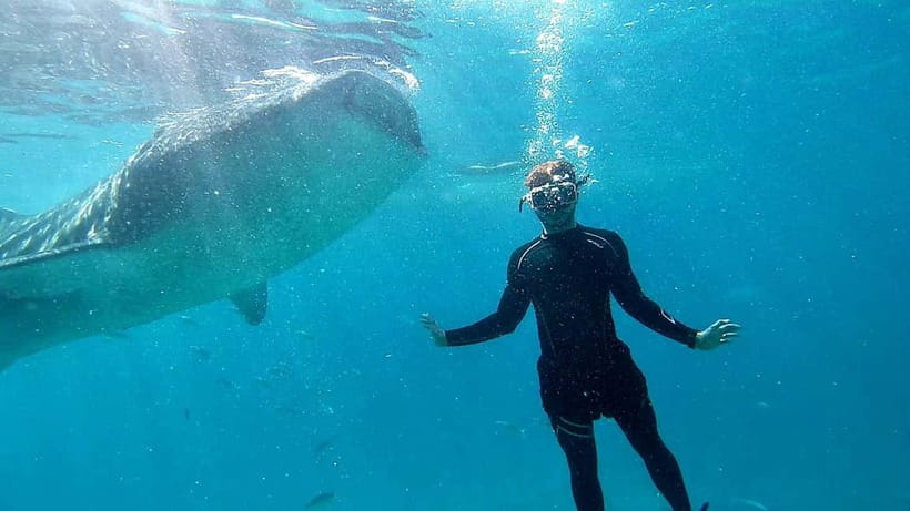 Cebu: Whale Shark Swim and Kawasan Canyoneering Tour - Entering the Kawasan canyon
