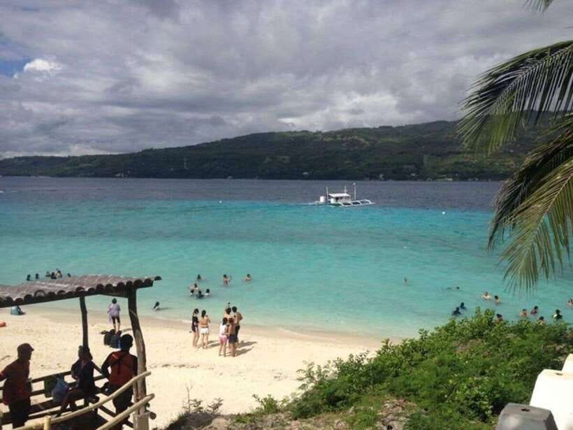 Cebu: Whale Shark Swimming, Sumilon Island and Kawasan Falls - Key points to know before booking