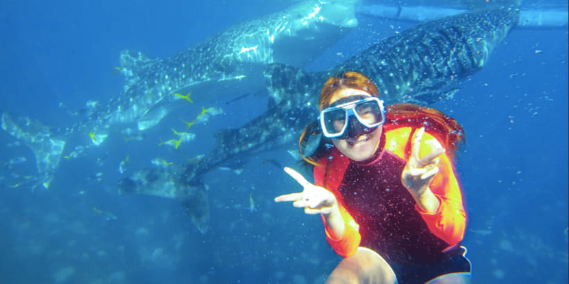 Cebu: Whale Shark Swimming, Sumilon Island and Kawasan Falls - Sumilon Island and its shifting white sandbar