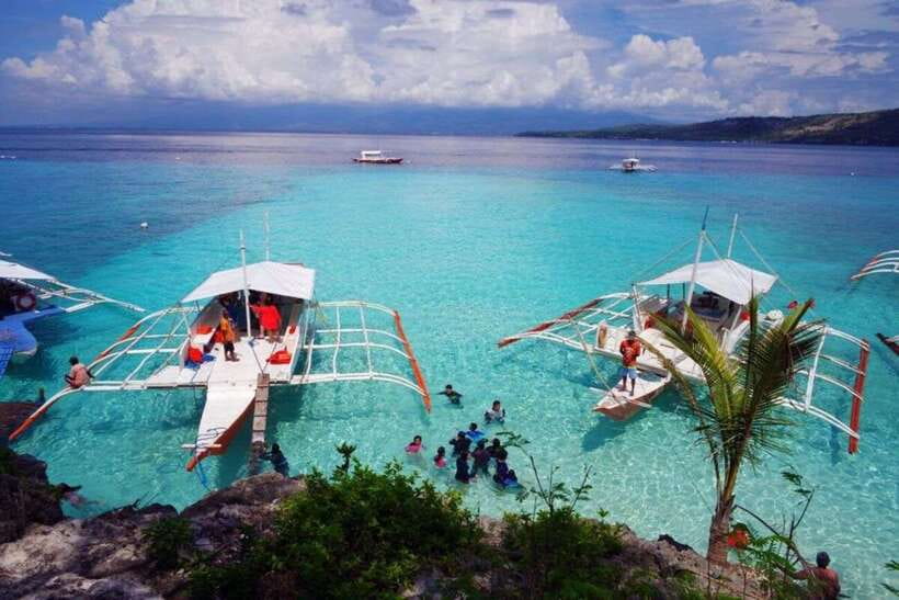 Cebu: Whale Shark Swimming, Sumilon Island and Kawasan Falls - Booking advice and practical details