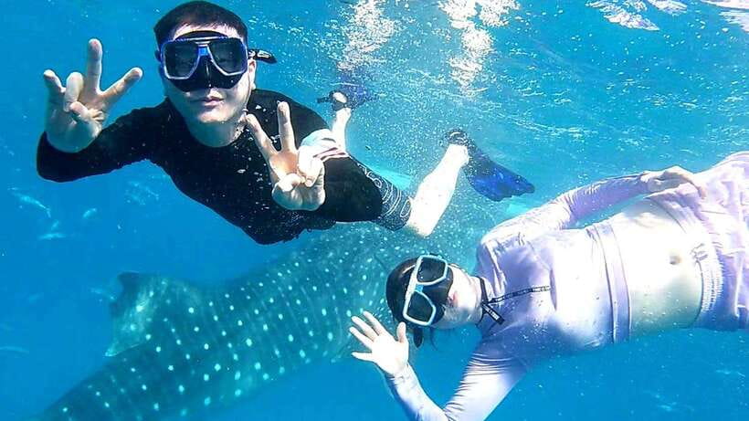 Cebu: Whale Shark, Tumalog Waterfall, and Moalboal Tour - The early road to Oslob
