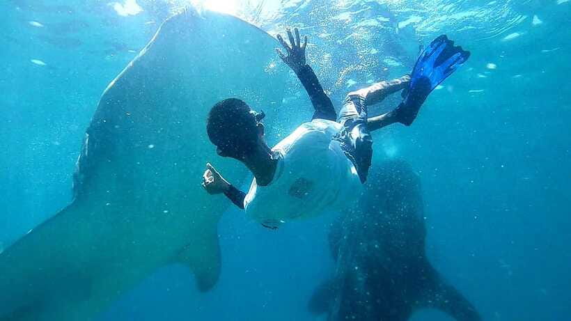 Cebu: Whale Shark, Tumalog Waterfall, and Moalboal Tour - Cooling off at Tumalog Falls