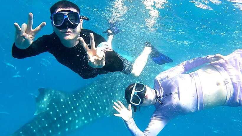 Cebu: Whale Shark, Tumalog Waterfall, and Moalboal Tour - Who should book this tour?