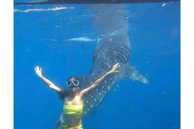 Cebu:Whale Shark, Waterfall, and Sardine Run Group Tour+Meal - The guide and the feel of the experience