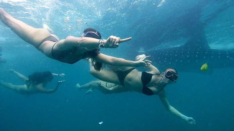 Cebu: Whale Sharks, Ka-Treasure Water Terraces & Simala Tour - Who should book this Cebu day trip?