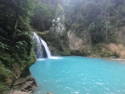 Whale Sharks, Kawasan Falls, & Sardines Run Snorkeling