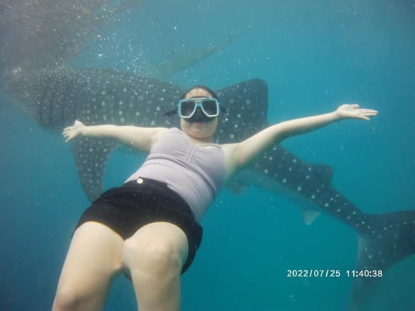 Cebu: Whale Sharks, Kawasan Falls, & Sardines Run Snorkeling - Should you book this Cebu tour?