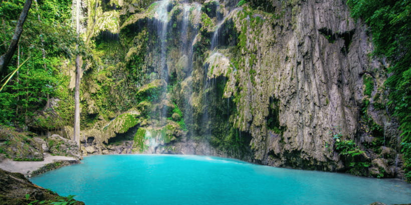 Cebu: Whale Sharks, Tumalog Falls, and Monkey Sanctuary Tour - Tumalog Falls and its curtain of water