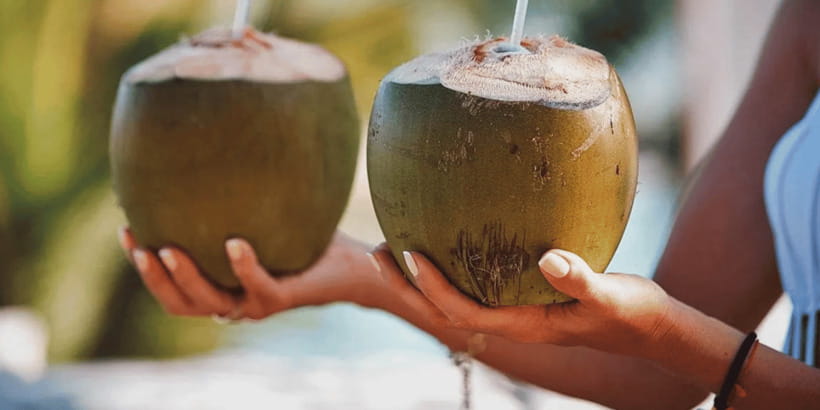 Cebu: Whale Sharks, Tumalog Falls, and Monkey Sanctuary Tour - Lunch, coconut, and a useful pause
