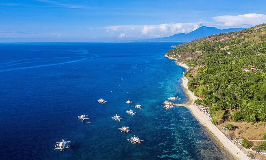 Cebu: Whale Sharks, Tumalog Falls, and Monkey Sanctuary Tour - What the small group changes