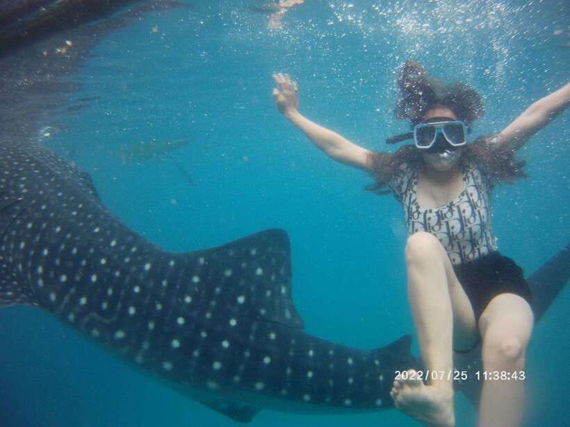Cebu: Whaleshark Encounter, Tumalog Falls & Sumilon Sandbar - Who will enjoy this tour most