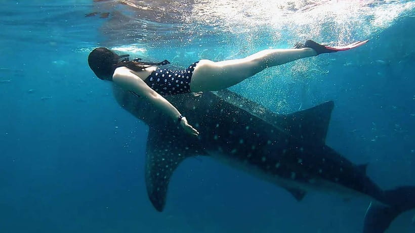 Cebu: Whaleshark Swimming & Kawasan falls Canyoneering Tour - The road to Badian and the start of Kawasan