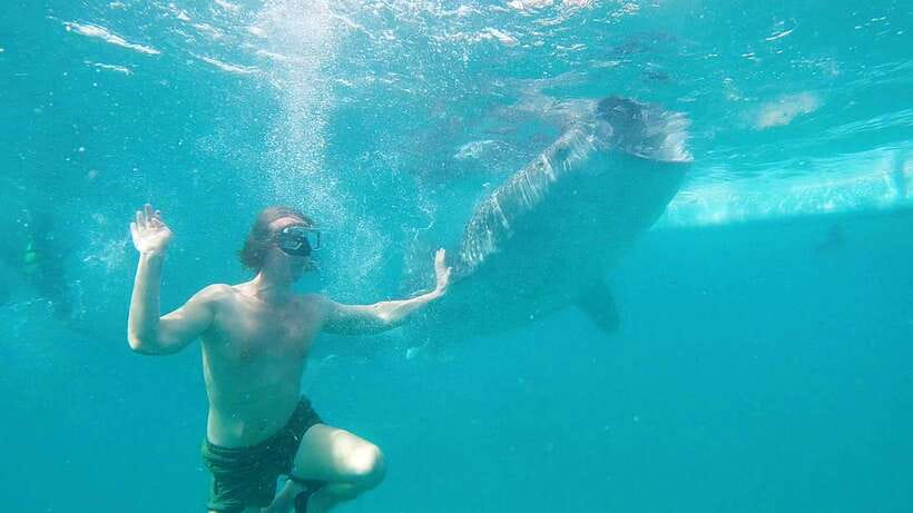 Cebu: Whaleshark Swimming & Kawasan falls Canyoneering Tour - Filipino lunch by the beach