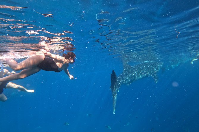 Cebu Whaleshark Tour - Getting ready in Oslob